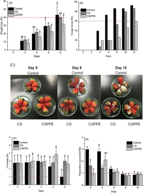conservazione delle fragole - risultati