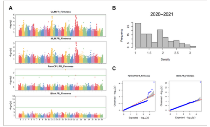 nuove varietà di fragole