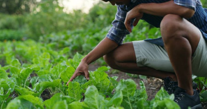 lavoratori stagionali 