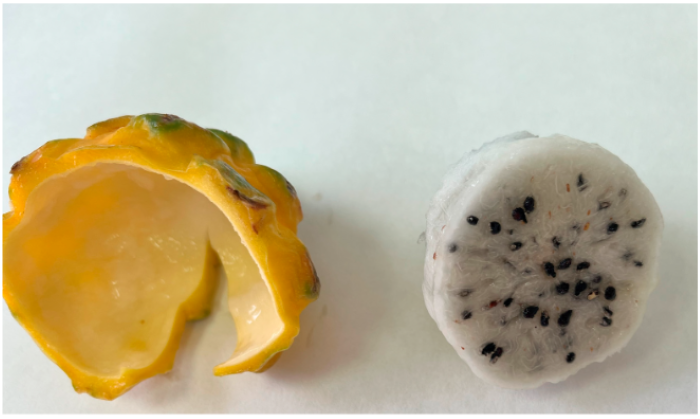 pitahaya