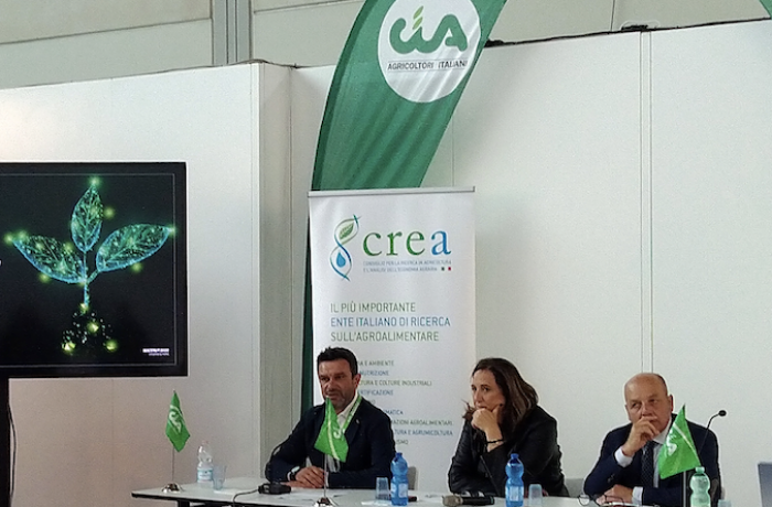 tea - progetto Biotech