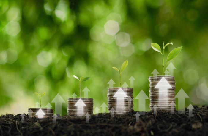 agricoltura italiana