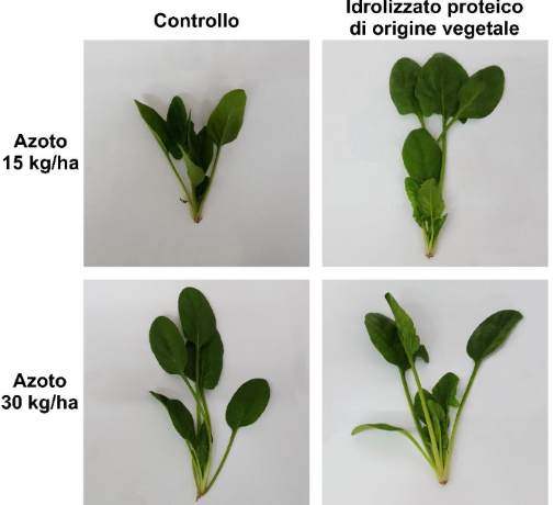 biostimolanti