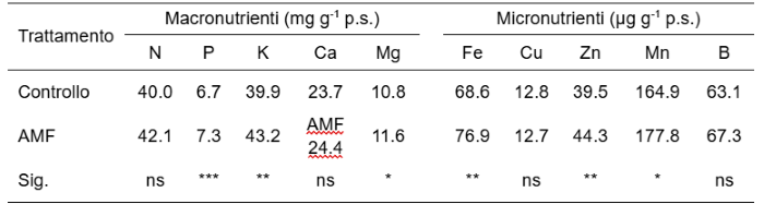 biostimolanti