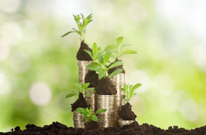 efficienza energetica