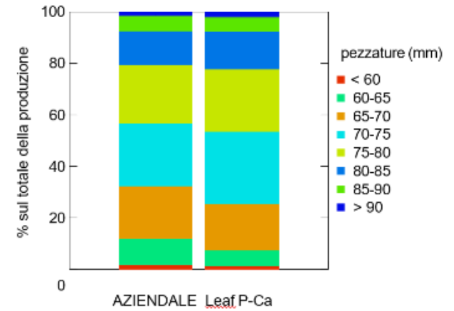 pezzatura delle mele 3