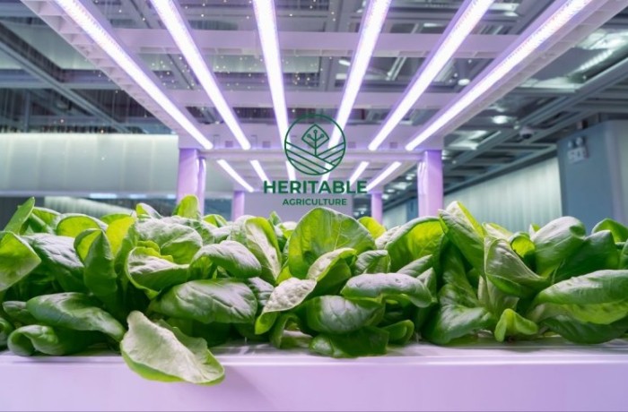 IA in agricoltura heritable agriculture