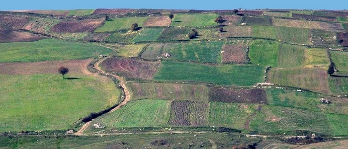 agricoltura campana
