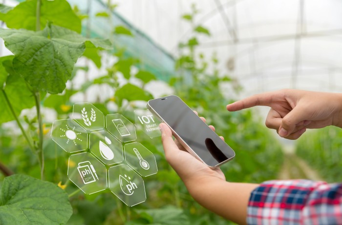 giovani agricoltori puglia 25