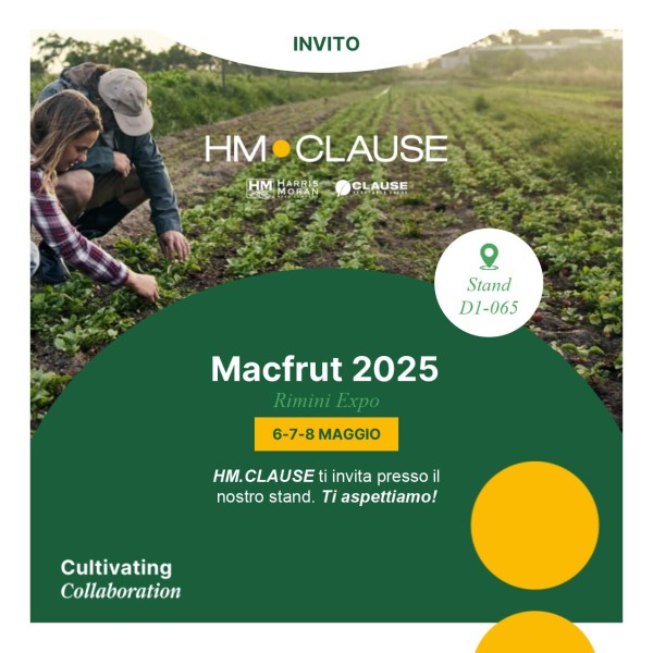 hm clause INVITO Macfrut 2025