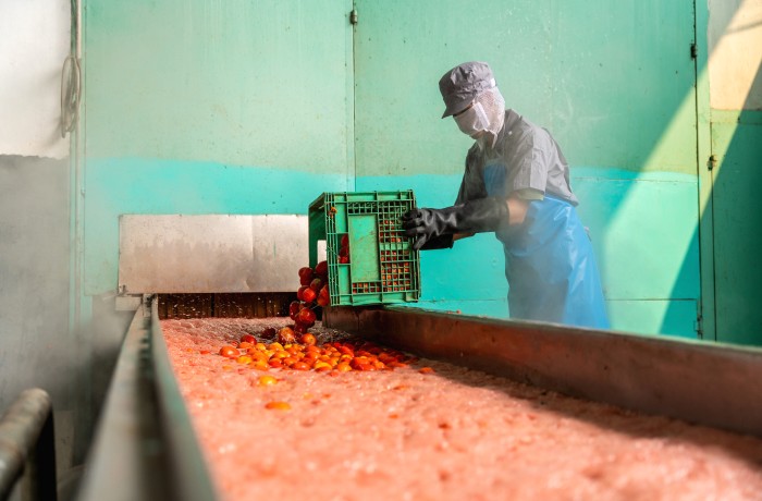 pomodoro da industria centro dus