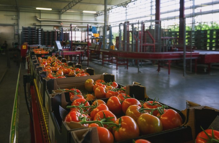 prezzo del pomodoro 2