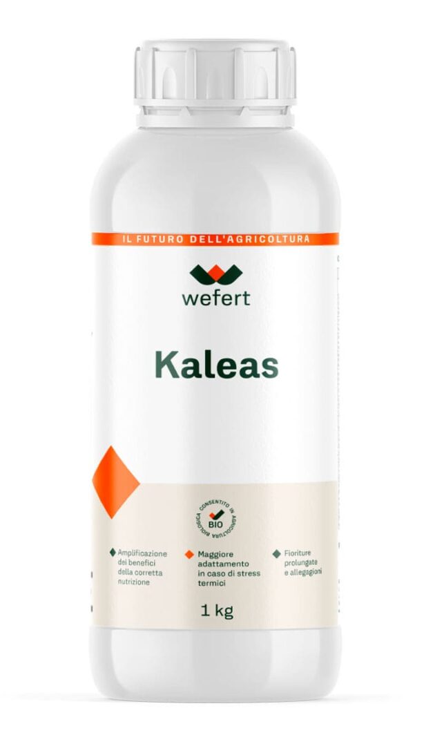 wefert Kaleas_1kg (1)