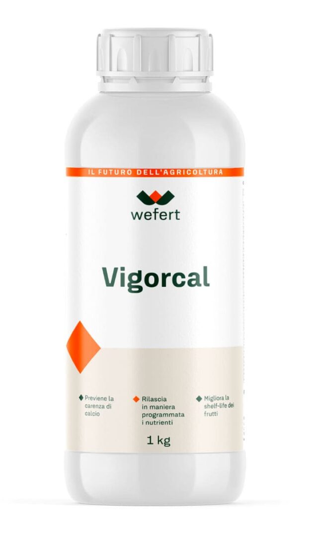 wefert Vigorcal_1kg (1)