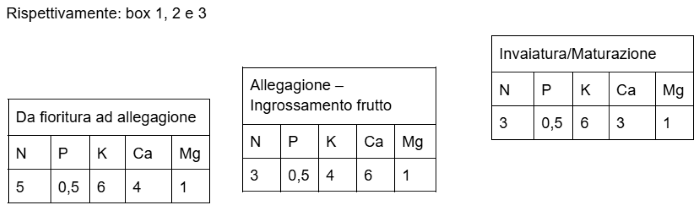 fertirrigazione