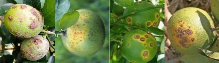 l'intelligenza artificiale