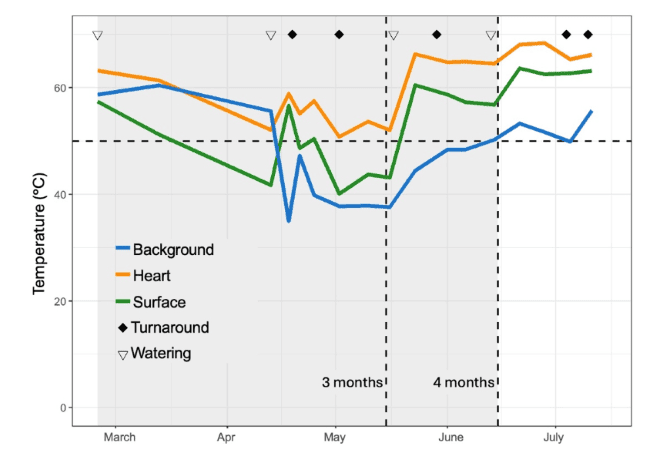 peronospora della vite