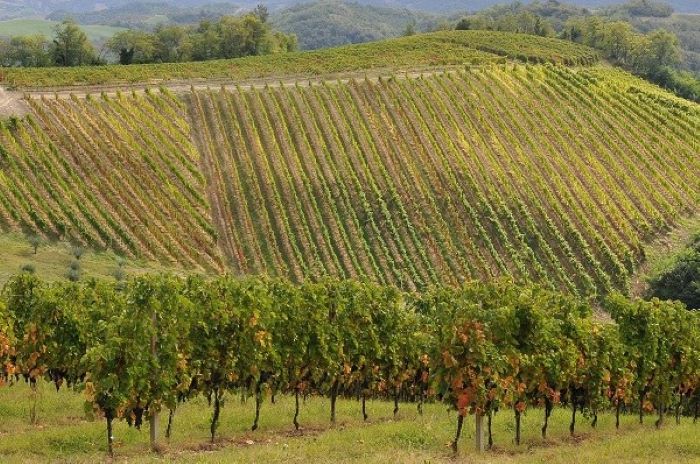 agricoltura in emilia romagna