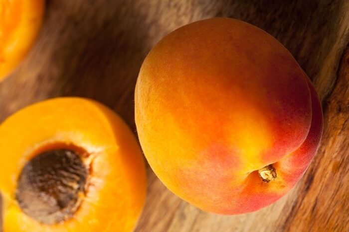 albicocca san castrese