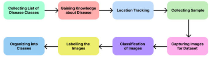 avversità della melanzana