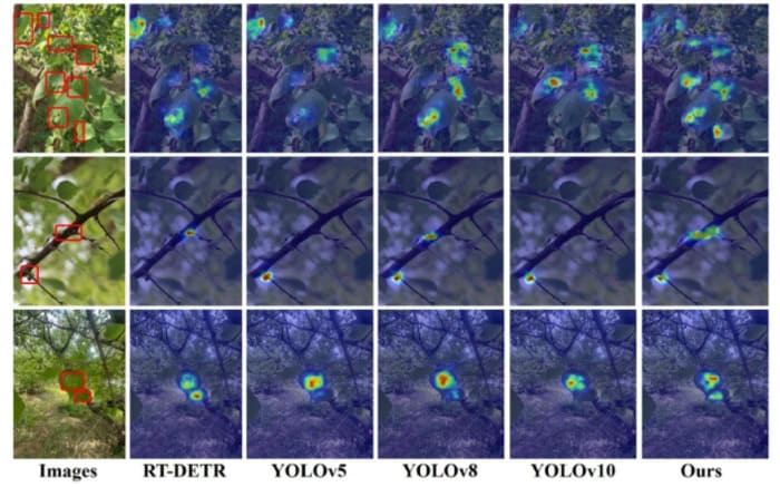 avversità dell'albicocco