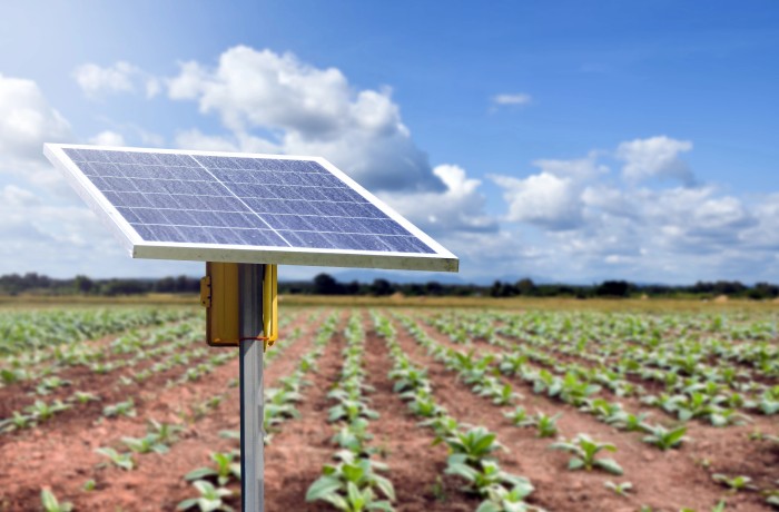 gelate tardive centralina