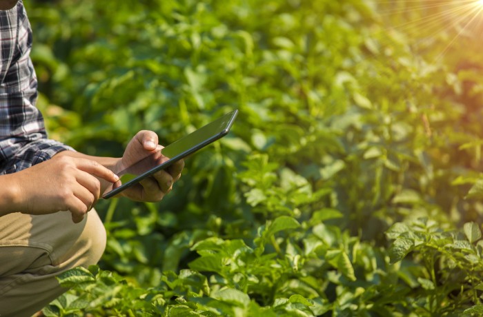 innovazione in agricoltura