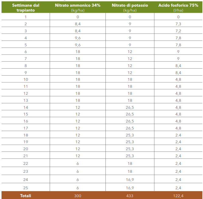 la cipolla irrigazione