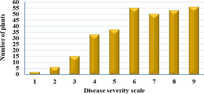 melanzane resistenti