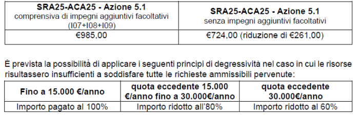 oliveti bando liguria