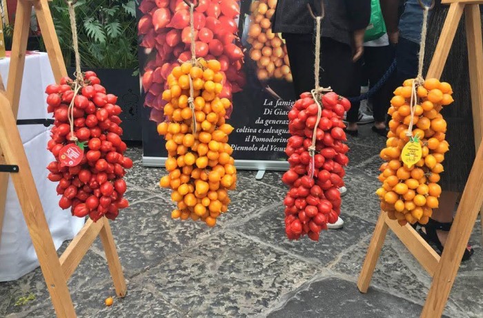 pomodorino del piennolo del vesuvio 1