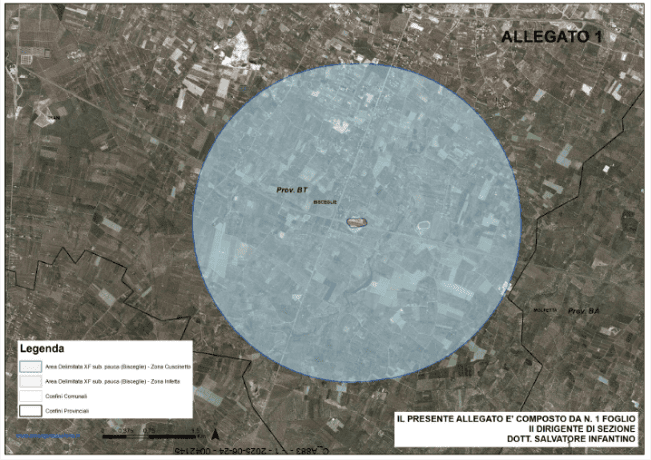 xylella bisceglie (1)