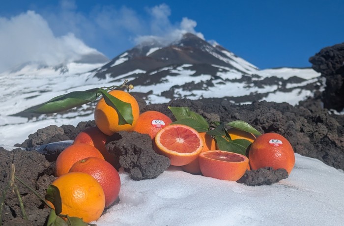 Arancia-Rossa-di-Sicilia-IGP-Etna