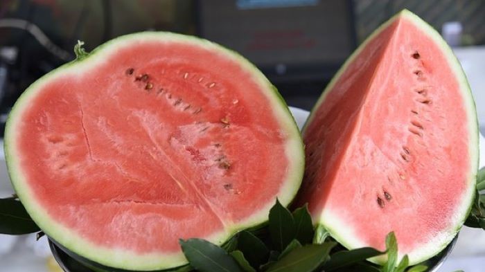 anguria reggiana igp