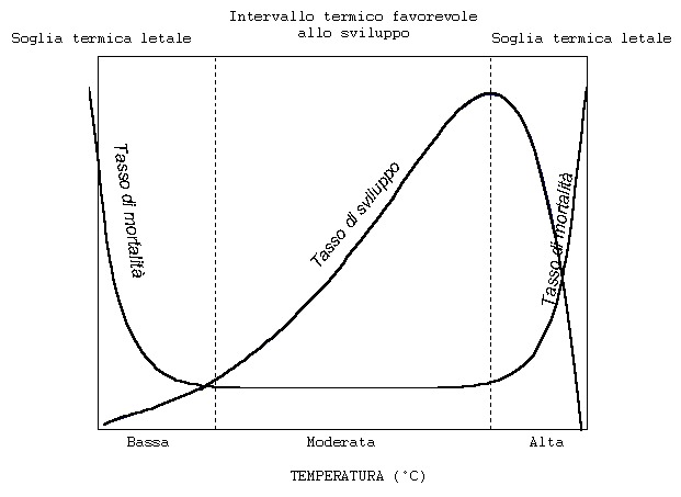 cambiamenti climatici e insetti