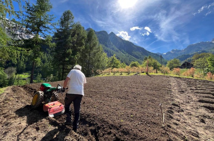 innovazione agricola valle d'aosta