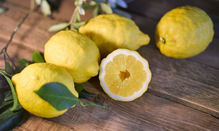 limone di sorrento