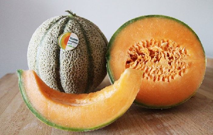 melone mantovano