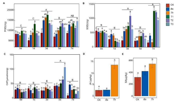 microrganismi benefici