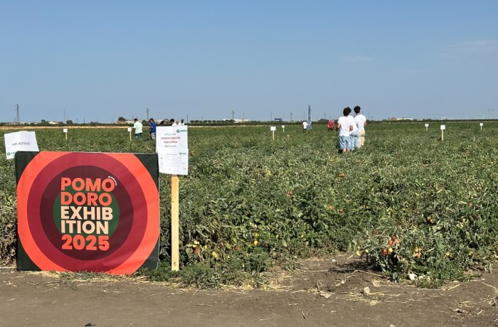 pomodoro exhibition 2