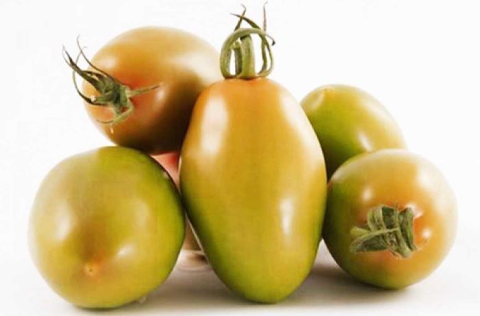 pomodoro nerina 