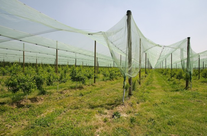 protezione delle colture piemonte