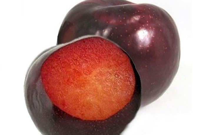 susina black diamond