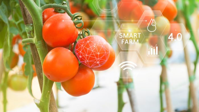 imprese agricole smart