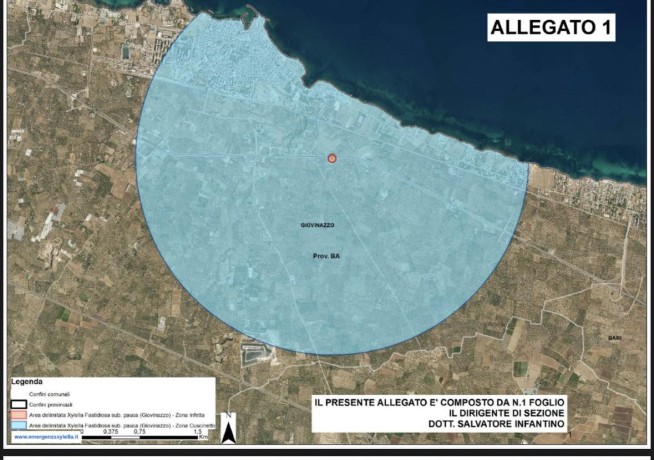xylella fastidiosa giovinazzo