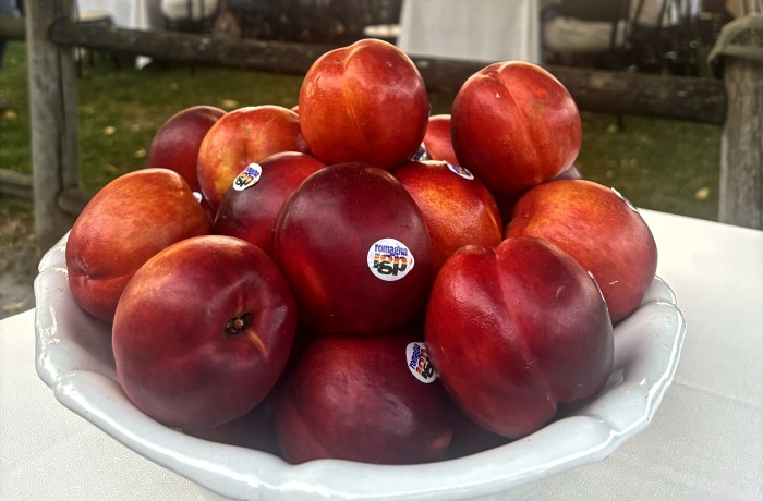 Pesca e Nettarina di Romagna IGP