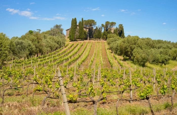 agricoltura in lazio