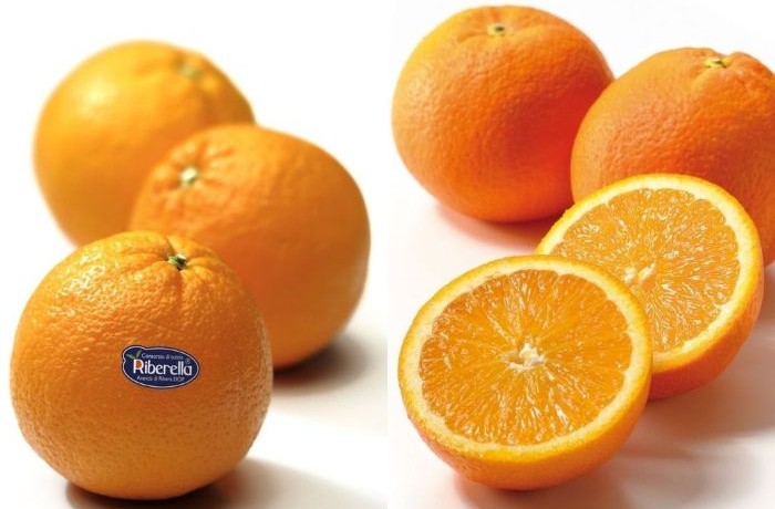 arancia di ribera 