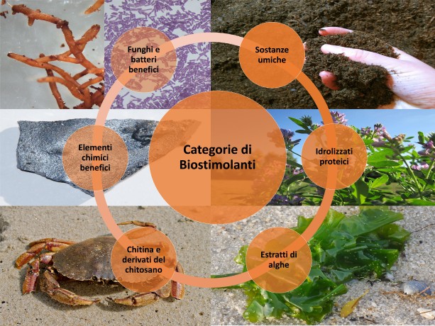 biostimolanti mele fig.1