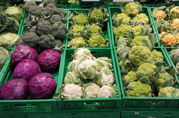 brassicacee-1